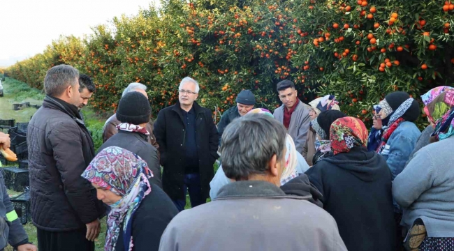 Kozan Belediyesinden narenciye işçilerine moral desteği