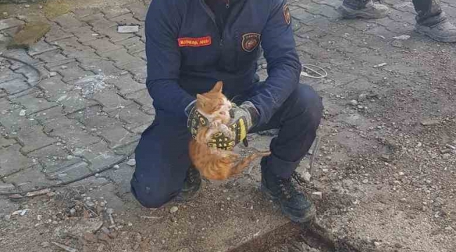 Mazgalın içinde mahsur kalan kedi itfaiye tarafından kurtarıldı