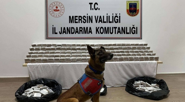 Mersin'de 61 bin 700 adet kaçak makaron ele geçirildi