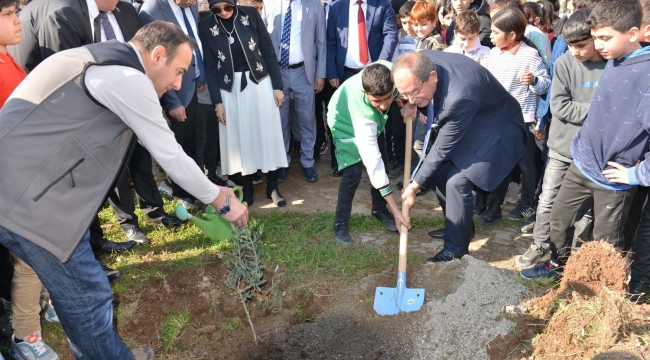 Mersin'de okul bahçelerine 600 zeytin fidanı dikildi