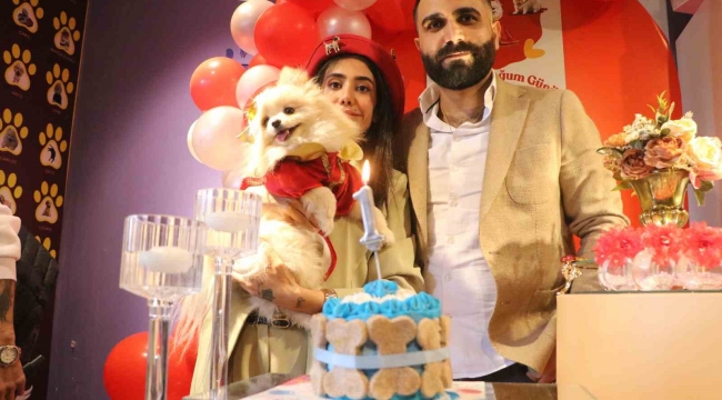 Nişanlı çift hayvanlara şiddete karşı farkındalık oluşturmak için köpeklerine doğum günü kutlaması düzenledi