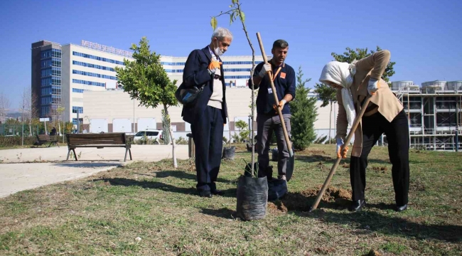 Yaşlılar tedavi gördükleri hastanenin bahçesine fidan dikti