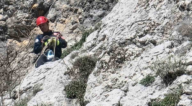 Dağda mahsur kalan keçi itfaiye ve AKOM ekipleri tarafından kurtarıldı