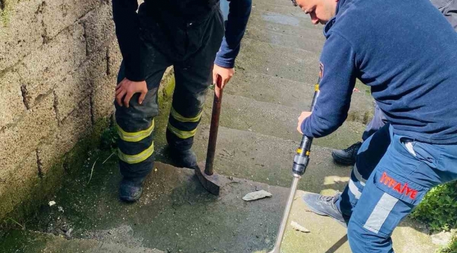 Mazgalın içerisinde mahsur kalan kediyi itfaiye ekipleri kurtardı