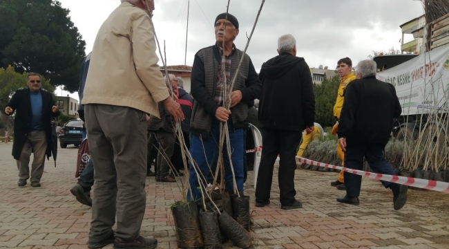 Mersin'de 6 bin fidan ücretsiz dağıtıldı