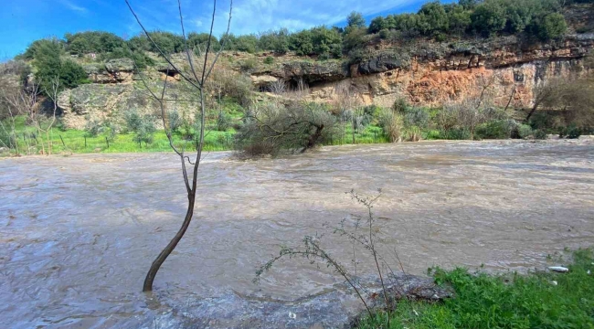 Osmaniye'de şiddetli yağışla birlikte derelerin debisi yükseldi