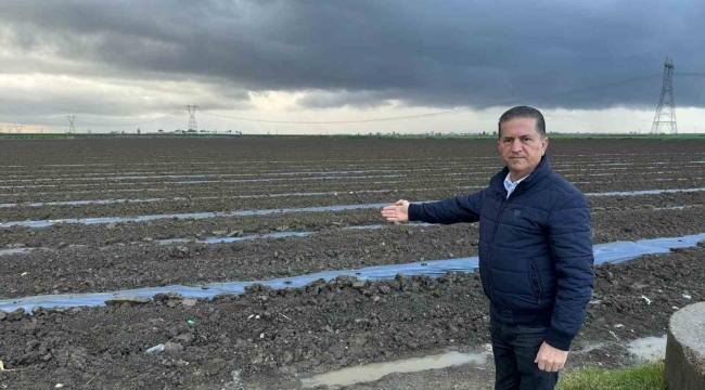 Topraktan temizlenmeyen malç naylonu sürdürülebilir tarımı tehdit ediyor