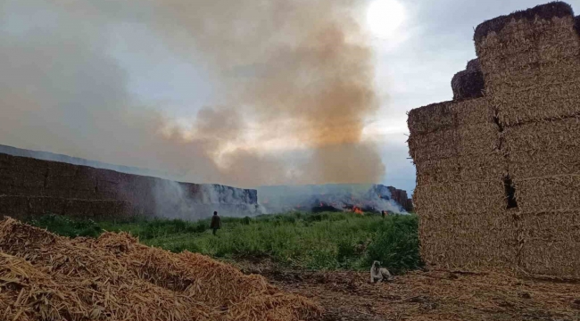 Adana'da saman balyalarının bulunduğu alanda yangın çıktı