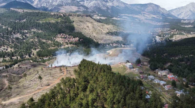 Adana'daki orman yangını hızlı müdahaleyle söndürüldü