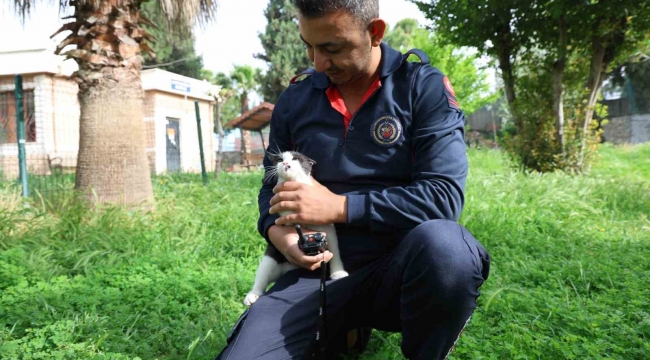 Ağaçta mahsur kalan kediyi itfaiye ekipleri kurtardı