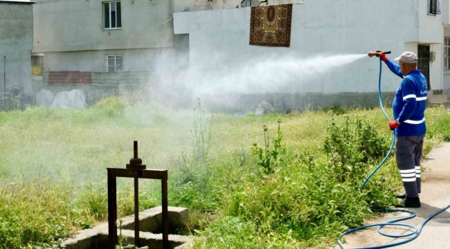 Büyükşehir; 450 personel, 100 araç ile haşereyle mücadele ediyor