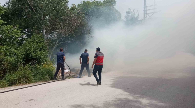 Defne'de ağaçlık alanda çıkan yangın söndürüldü