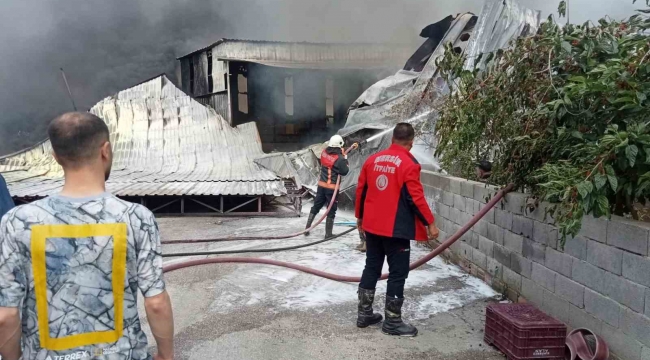 Mersin'de narenciye paketleme tesisinde yangın