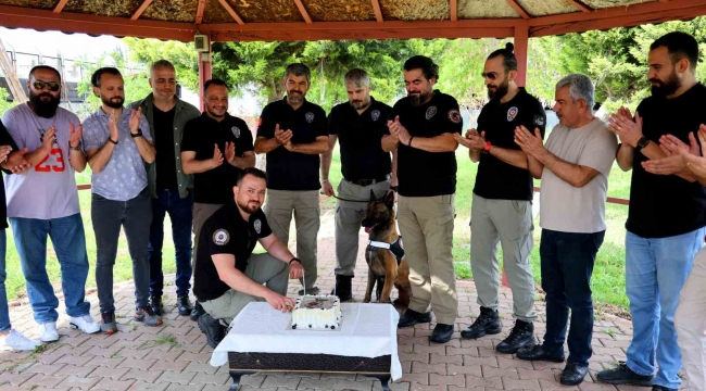 Narkotik köpeği Hulk'un 7'nci yaş günü pasta kesilerek kutlandı