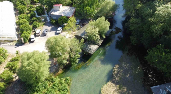 Portakal Çiçeği Karnavalı coşkusu Kozan'ı da sardı