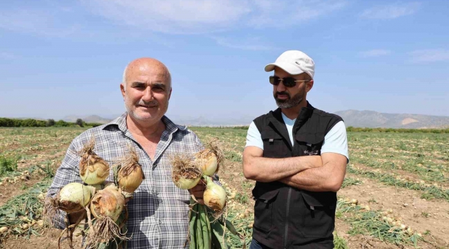 Sofrada göz yaşartan soğan tarlada üreticinin yüzünü güldürdü