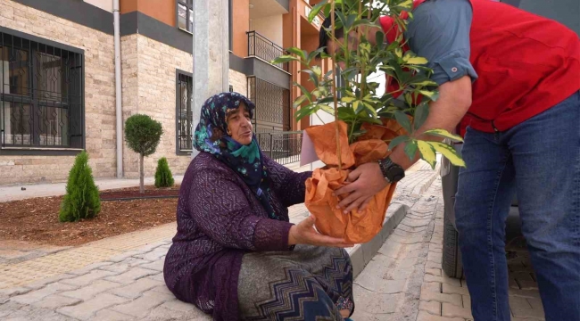 Tebrik çiçekleri depremzedelerin yuvalarını süslüyor