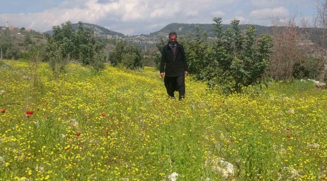 Yayla ve köyler baharla yeşile bürünerek renklendi