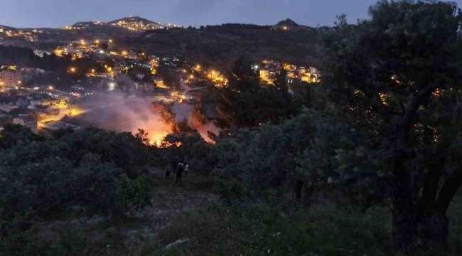 Yıldırım düşen ağaçlık alanda yangın çıktı