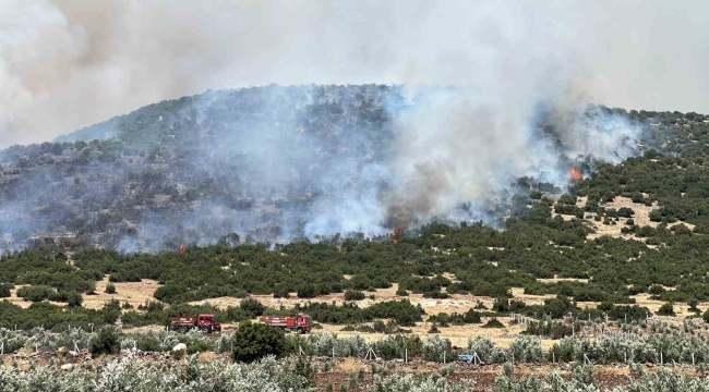 Kahramanmaraş'ta makilik alanda çıkan yangın kontrol altına alındı